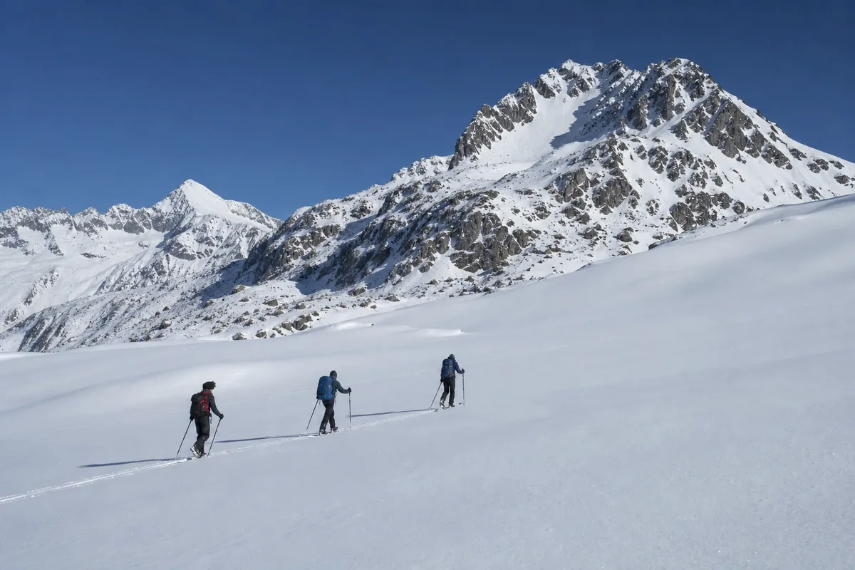 Randonneurs en raquettes progressant sur un plateau enneigé face à une chaîne de sommets alpins ensoleillés