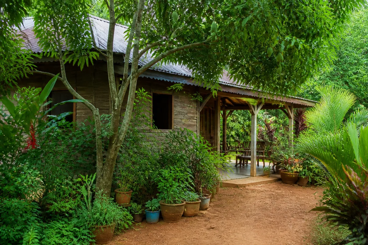 Case créole en bois entourée de plantes médicinales et d&rsquo;arbres fruitiers, terrasse ombragée